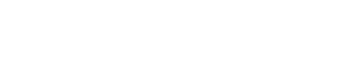 Diana Zwarthoed logo